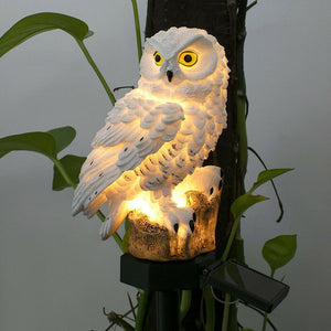 Hot Sell Owl Solar Light With Solar LED Outdoors Solar Light Solar Lamp Solar Garden Light Aimak Store
