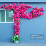 Artificial Flower Rattan Tree Vine Bougainvillea Floral Wall Plants Tree Wedding Christams Party Festival Outdoor Garden Decor Aimak Store
