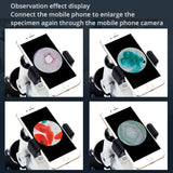 40-6000X HD Optical Biological Microscope High Magnification With Abbe condenser Middle school university Lab Teaching Microsco Aimak Store