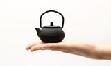 100ml Mini Cast Iron Kettle Teapot Home Decoration Ornament Teaware Tea Kettle Aimak Store