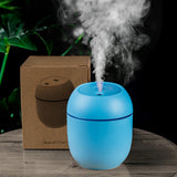 USB Portable Air Humidifier 250ML Essential Oil Diffuser 2 Modes Auto Off with LED Light for Home Car Mist Maker Face Steamer Aimak Store