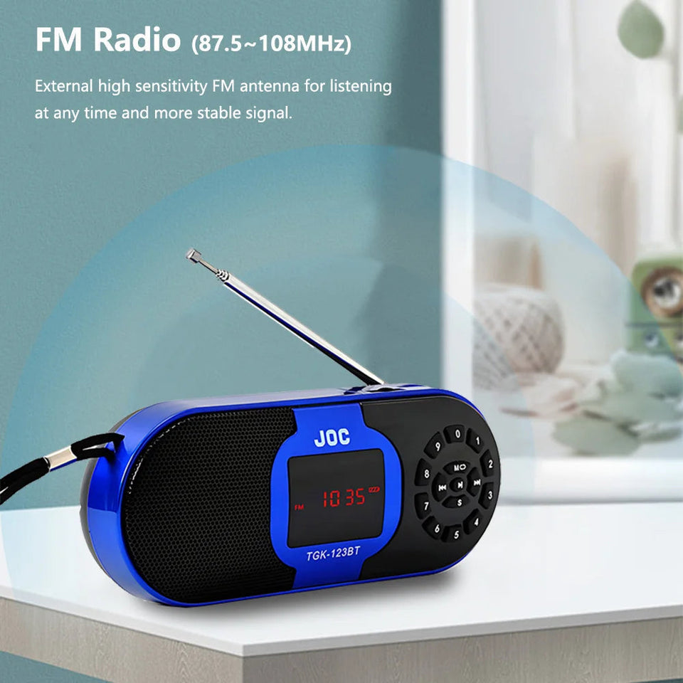 Digital Portable Radio FM Bluetooth Speaker With MP3 Player Support TF Card USB Speaker Rechargable Battery Radio FM Receiver Aimak Store