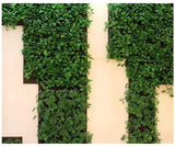 Plant growth bag， Felt Vertical Wall Planter Outdoor Herb Vegetable Hanging Garden  Plant Holder for Railing, Balcony, Fence Aimak Store