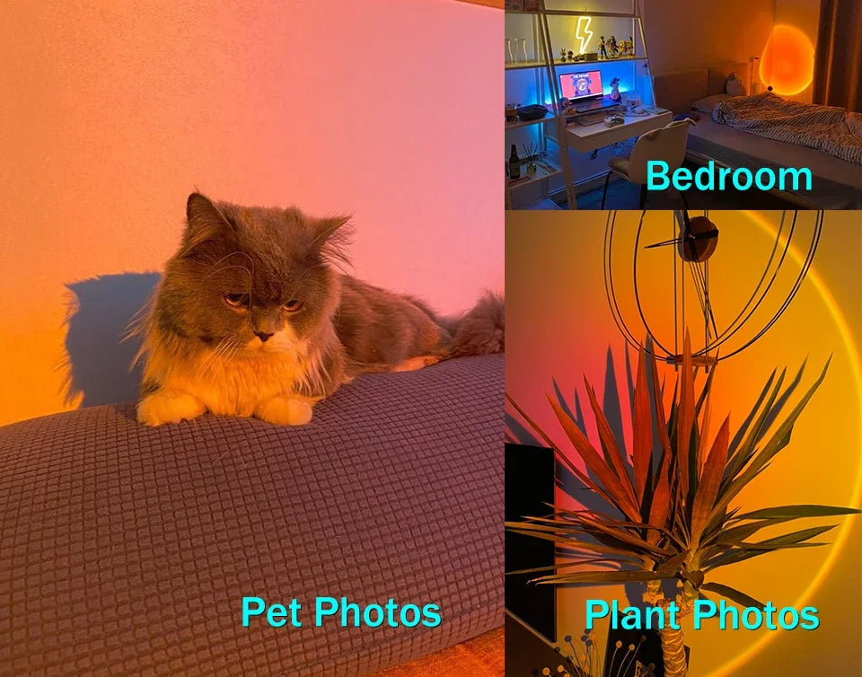 USB Sunset Light LED Rainbow Neon Night Lamp Sunset Projector Self Photography Light Wall Atmosphere Lighting For Bedroom Decor Aimak Store