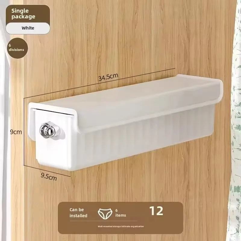 1pc Pull-out Underwear Bra Organizer Drawer Socks Storage Box Wall Mounted Panties Boxes Bedroom Closet Organizer Spave Saving Aimak Store
