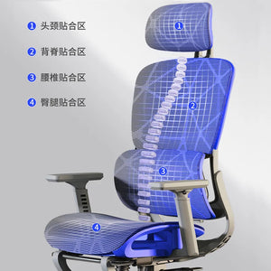 Silla Ergonómica Computer Home Office Chair Family Back Comfortable Seat Hollow Study Long Sitting Ergonomic Chair Aimak Store