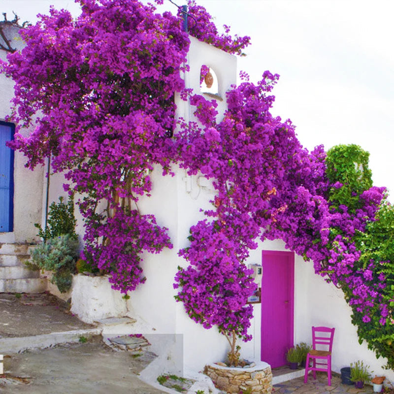 Bougainvillea Artificial Flower Silk Fake Flower Wedding Home Decor Garden Engineering Landscaping Plants Garland Flower Wall Aimak Store