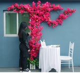 Artificial Flower Rattan Tree Vine Bougainvillea Floral Wall Plants Tree Wedding Christams Party Festival Outdoor Garden Decor Aimak Store