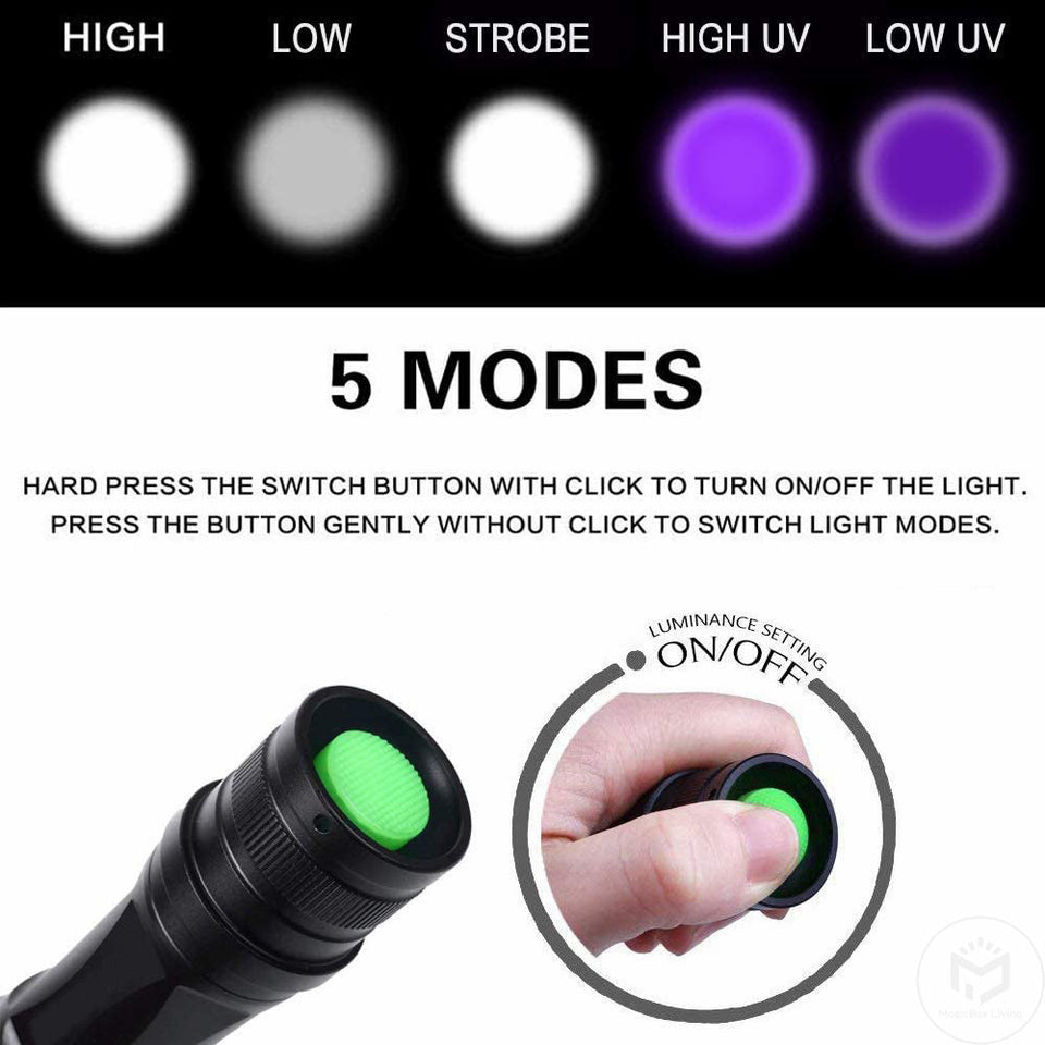 White/UV 2 in 1 Zoom UV Flashlight Rechargeable High Quality Aluminum Alloy Dog Pet Urine Stains Detection Torch LED Blacklight Aimak Store