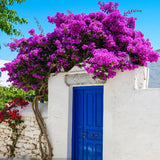 Bougainvillea Artificial Flower Silk Fake Flower Wedding Home Decor Garden Engineering Landscaping Plants Garland Flower Wall Aimak Store