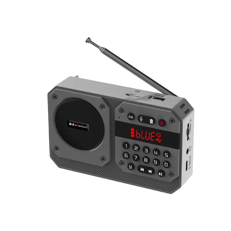Mini Portable FM Radio High Sensitivity Radios Receiver Wireless Hifi  Bluetooth Speaker with Mic Support Recording TF USB Play Aimak Store