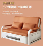 2025 New 1.2 Multi functional single double bed room sofa bed folding dual-use Internet new living room On Sale Aimak Store