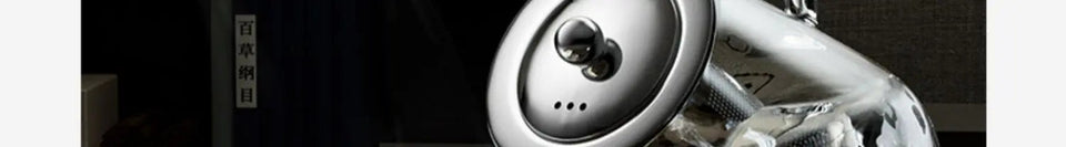 Heat Resistant Glass Teapot with Stainless Steel Tea Strainer Infuser Flower Kettle Kung Fu Teaware Set Puer Oolong Pot Aimak Store