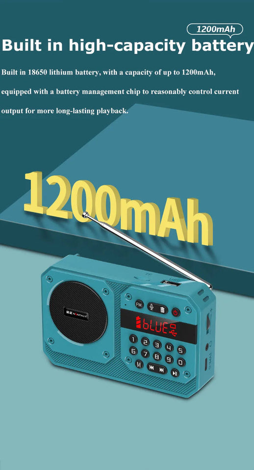 Mini Portable FM Radio High Sensitivity Radios Receiver Wireless Hifi  Bluetooth Speaker with Mic Support Recording TF USB Play Aimak Store