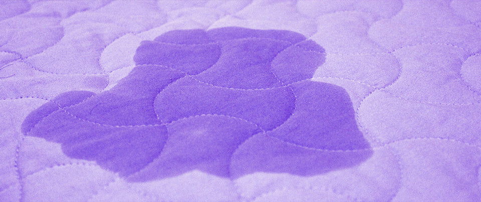 White/UV 2 in 1 Zoom UV Flashlight Rechargeable High Quality Aluminum Alloy Dog Pet Urine Stains Detection Torch LED Blacklight Aimak Store