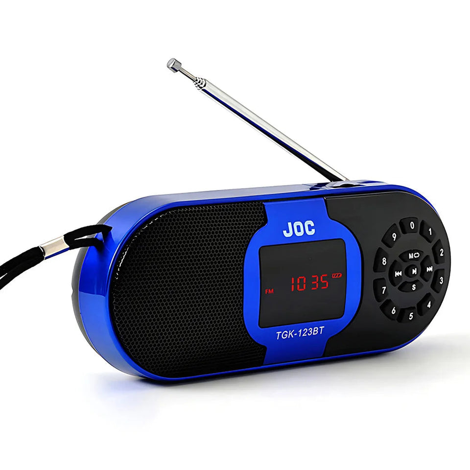 Digital Portable Radio FM Bluetooth Speaker With MP3 Player Support TF Card USB Speaker Rechargable Battery Radio FM Receiver Aimak Store