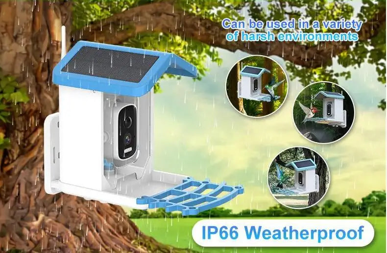 4MP iCsee APP  Solar Power AI Bird Feeder Wireless WIFI  PTZ IP Dome Camera Watch Bird Camera Home Security CCTV Monitor Aimak Store