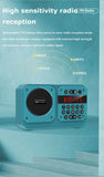Mini Portable FM Radio High Sensitivity Radios Receiver Wireless Hifi  Bluetooth Speaker with Mic Support Recording TF USB Play Aimak Store