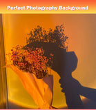 USB Sunset Light LED Rainbow Neon Night Lamp Sunset Projector Self Photography Light Wall Atmosphere Lighting For Bedroom Decor Aimak Store