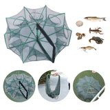 Mesh for Fishing Crayfish Net Foldable Crayfish Catcher Casting Fish Network Crab Trap Catchers Cage Network Fishing Accessories Aimak Store