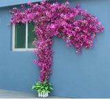 Artificial Flower Rattan Tree Vine Bougainvillea Floral Wall Plants Tree Wedding Christams Party Festival Outdoor Garden Decor Aimak Store