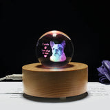 Photo Text Personalized Crystal Ball 2D Laser Engraving Pets Baby Family Picture Customized Glass Sphere Souvenir Birthday Gifts Aimak Store