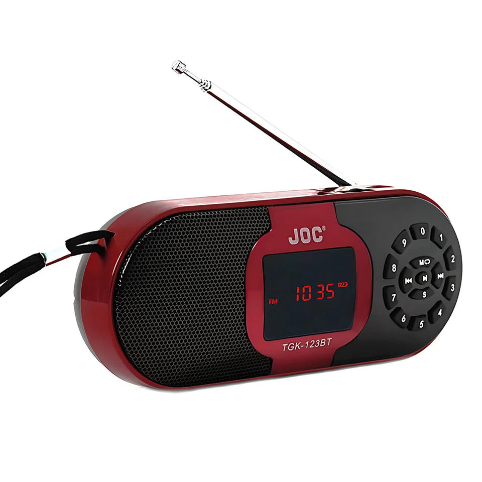 Digital Portable Radio FM Bluetooth Speaker With MP3 Player Support TF Card USB Speaker Rechargable Battery Radio FM Receiver Aimak Store
