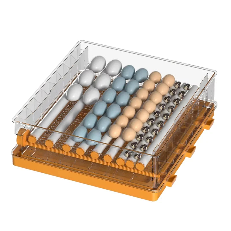 Dual Power Automatic Egg Incubator 200 Eggs 64 128 192  Chicken Quail Duck DC12V Incubators Hatching Eggs Solar Powered Aimak Store