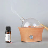 20ML Wooden Glass Aromatherapy Pure Essential Oils Diffuser Waterless Aroma Diffuser Air Nebulizer Household Humidifier For Home Aimak Store