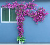 Artificial Flower Rattan Tree Vine Bougainvillea Floral Wall Plants Tree Wedding Christams Party Festival Outdoor Garden Decor Aimak Store