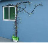Artificial Flower Rattan Tree Vine Bougainvillea Floral Wall Plants Tree Wedding Christams Party Festival Outdoor Garden Decor Aimak Store