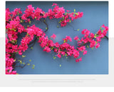 Artificial Flower Rattan Tree Vine Bougainvillea Floral Wall Plants Tree Wedding Christams Party Festival Outdoor Garden Decor Aimak Store