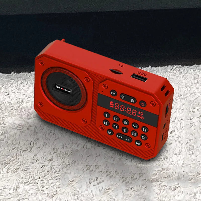 Mini Portable FM Radio High Sensitivity Radios Receiver Wireless Hifi  Bluetooth Speaker with Mic Support Recording TF USB Play Aimak Store