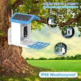 4MP iCsee APP  Solar Power AI Bird Feeder Wireless WIFI  PTZ IP Dome Camera Watch Bird Camera Home Security CCTV Monitor Aimak Store