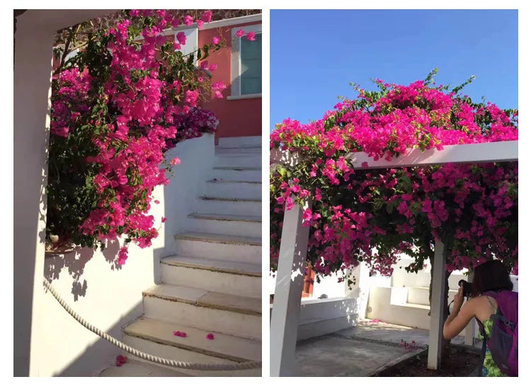 Bougainvillea Artificial Flower Silk Fake Flower Wedding Home Decor Garden Engineering Landscaping Plants Garland Flower Wall Aimak Store