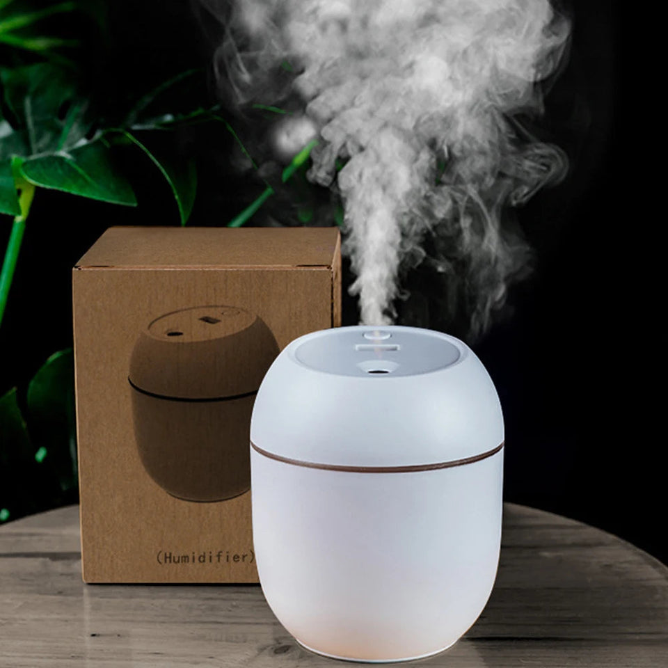 USB Portable Air Humidifier 250ML Essential Oil Diffuser 2 Modes Auto Off with LED Light for Home Car Mist Maker Face Steamer Aimak Store