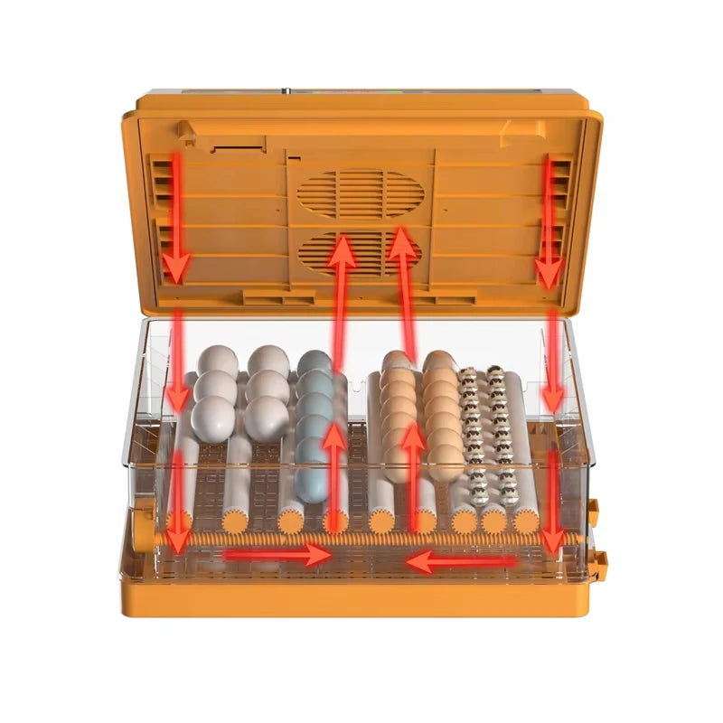Dual Power Automatic Egg Incubator 200 Eggs 64 128 192  Chicken Quail Duck DC12V Incubators Hatching Eggs Solar Powered Aimak Store