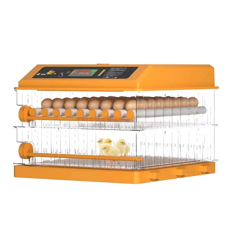 Dual Power Automatic Egg Incubator 200 Eggs 64 128 192  Chicken Quail Duck DC12V Incubators Hatching Eggs Solar Powered Aimak Store