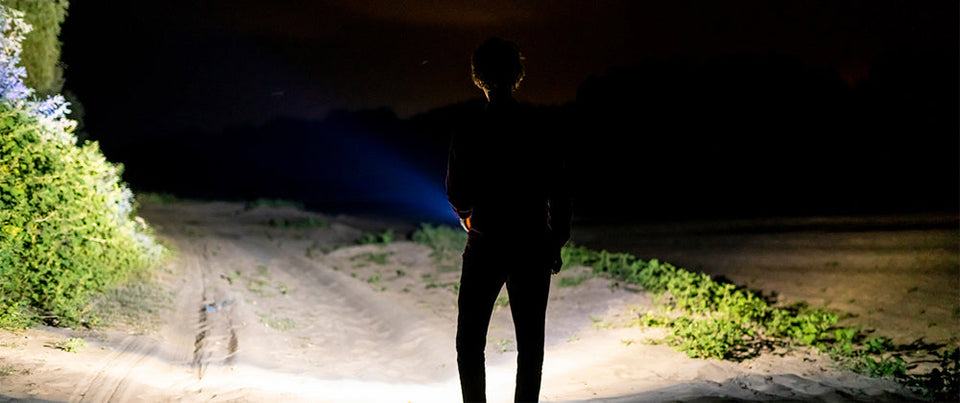 White/UV 2 in 1 Zoom UV Flashlight Rechargeable High Quality Aluminum Alloy Dog Pet Urine Stains Detection Torch LED Blacklight Aimak Store