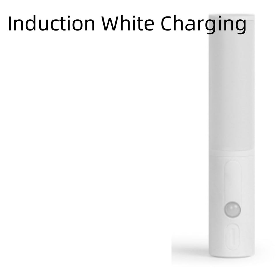 New Style Smart Human Body Induction Motion Sensor LED Night Light For Home Bed Kitchen Cabinet Wardrobe Wall Lamp Aimak Store